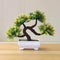 Funterior Longxu Style Artificial Bonsai Tree Plants | Small Ornaments For Home Decoration