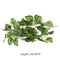 Horbax Fake Hanging Terrarium Plants for Bearded Dragons, Lizards, Geckos, Snake and Hermit - Ooala