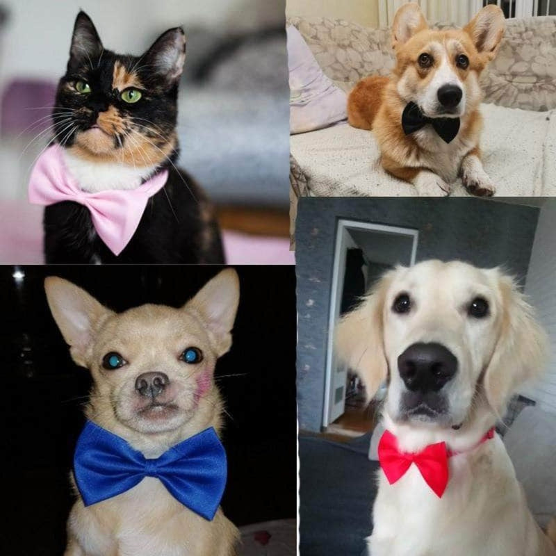 PetHubby Dog & Cat Necklace Bow Ties, Adjustable Strap Pet Accessories