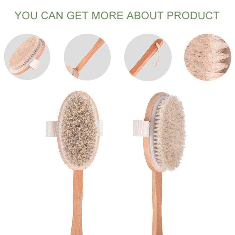 Vaintage Bath Body Brush Natural Bristles Back Scrubber With Long Wooden Handle For Exfoliating - Ooala